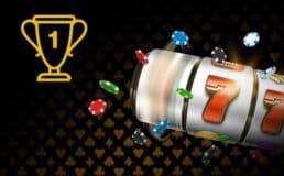 VIP Program